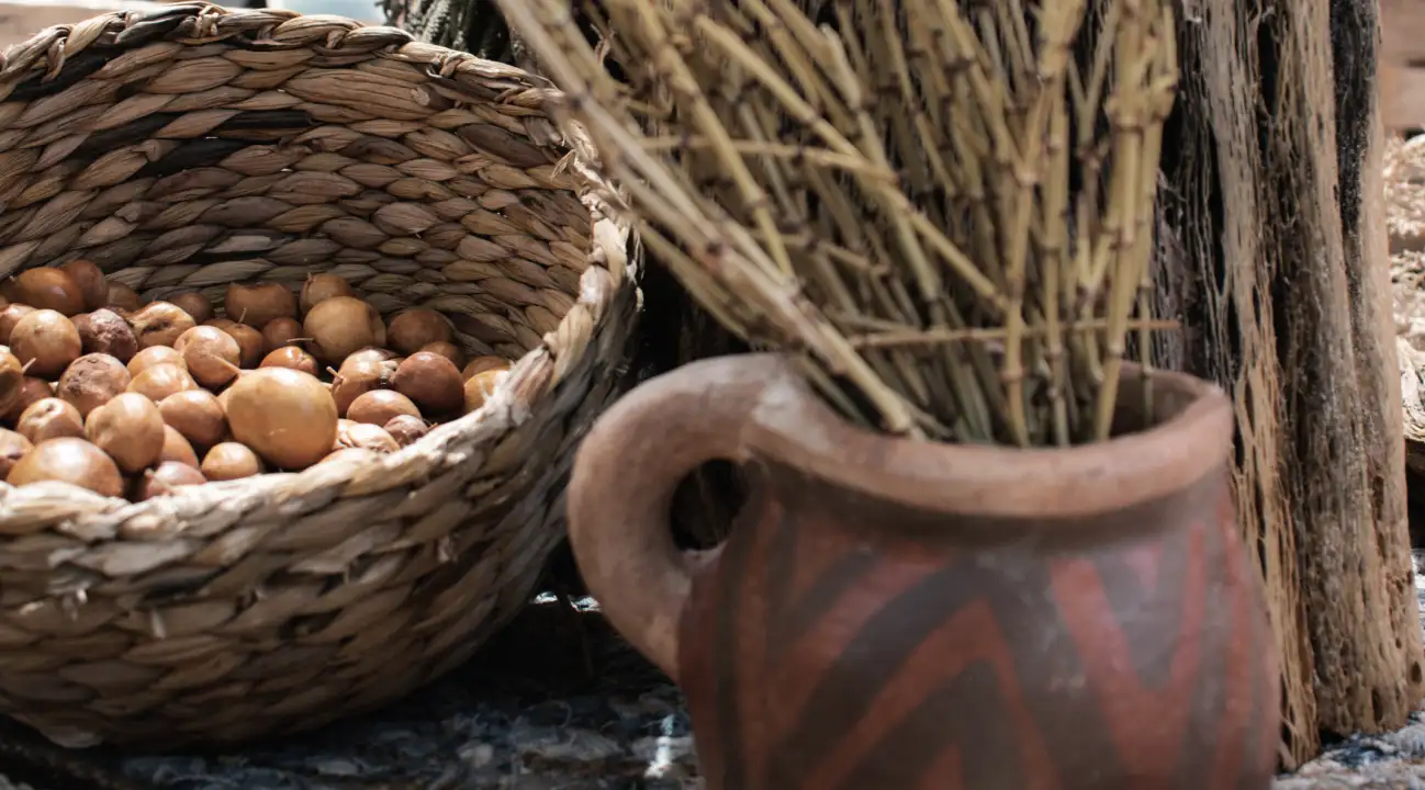 frutos del chañar tipicos del desierto de atacama, adelante una vasija tipica de la cultura atacameña